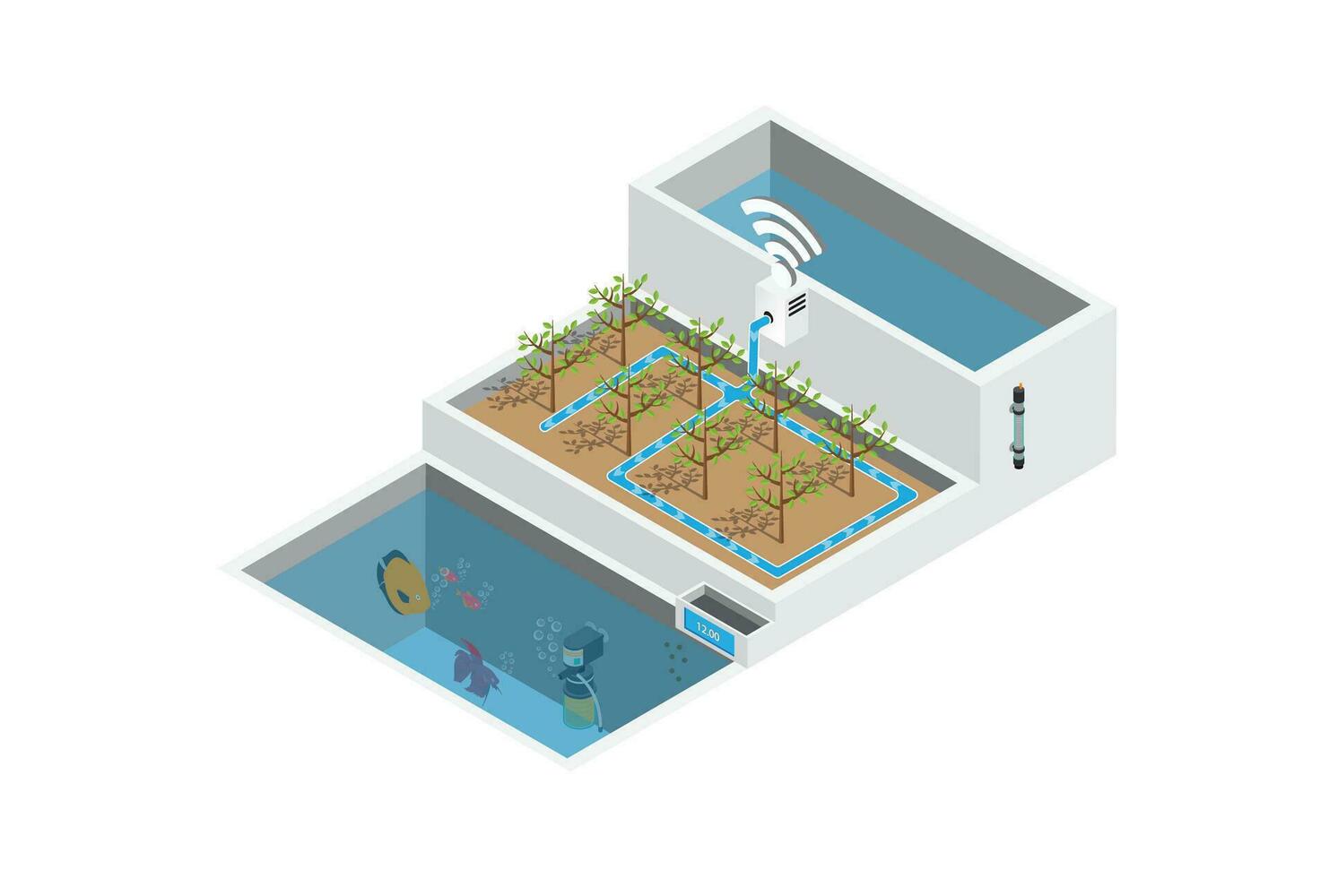 Isometric how aquaponics system work isolated white background vector