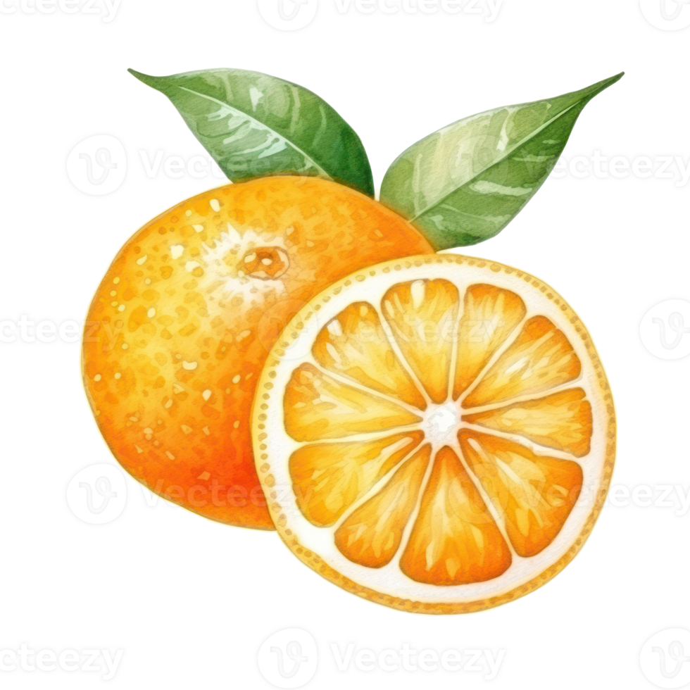 acuarela naranja fruta. ilustración ai generativo png