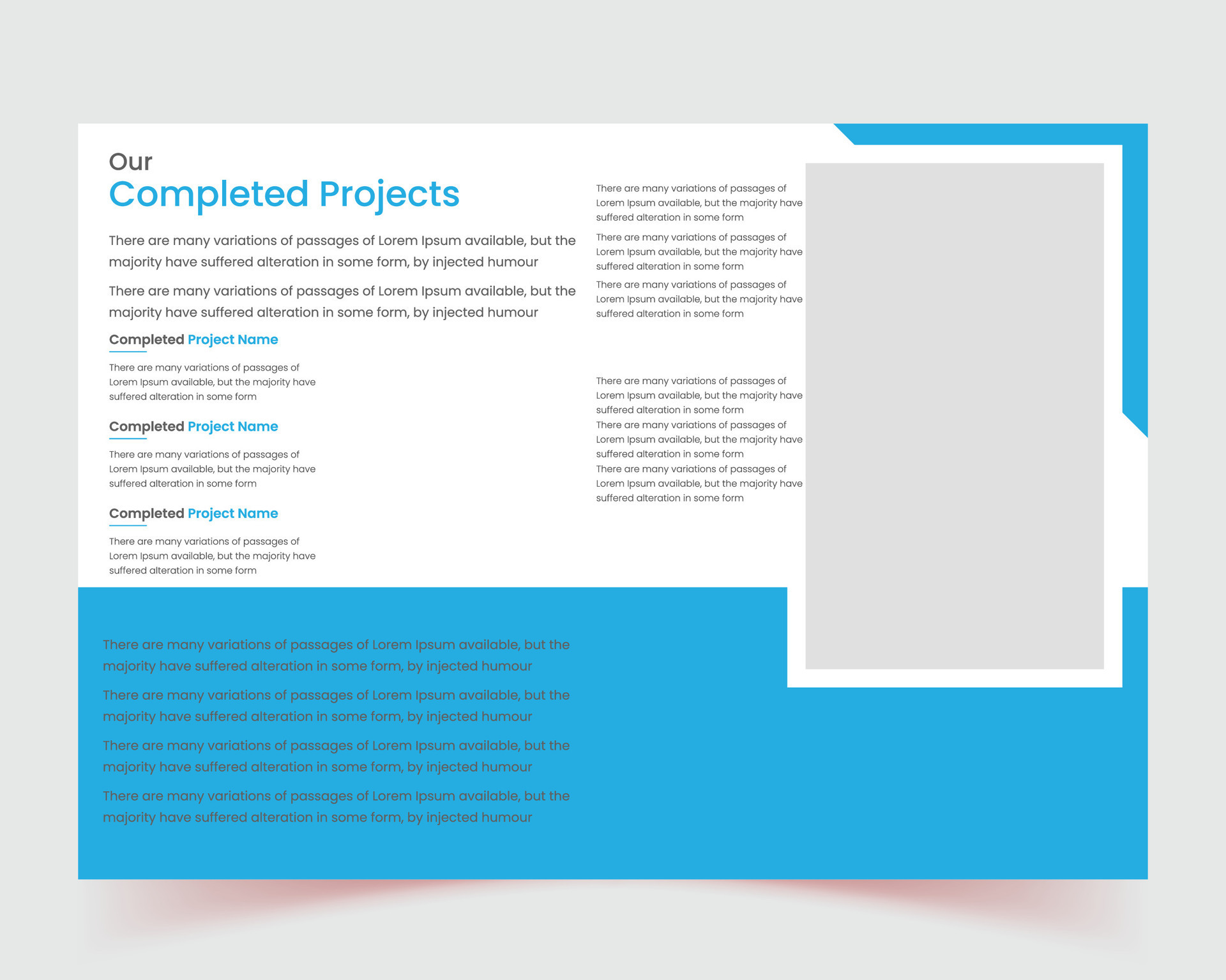 Company Profile Report Flyer Presentation Book Page Cover web-design-digital-marketing-for-start-up-s-tega-media