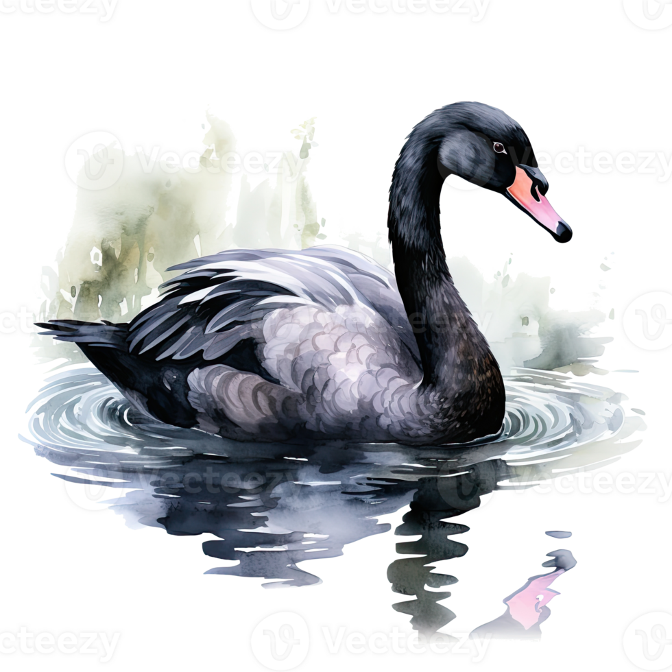 Preto cisne aquarela. ilustração ai generativo png