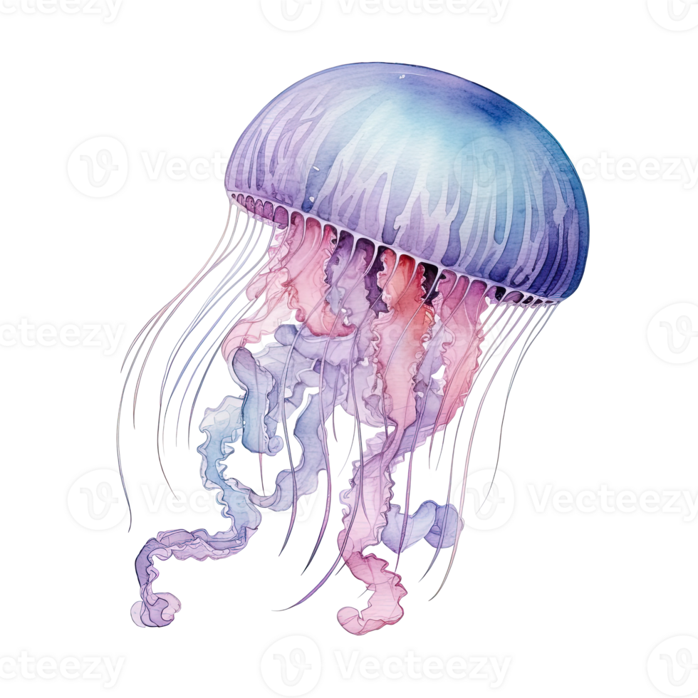 Watercolor jellyfish isolated. Illustration AI Generative png