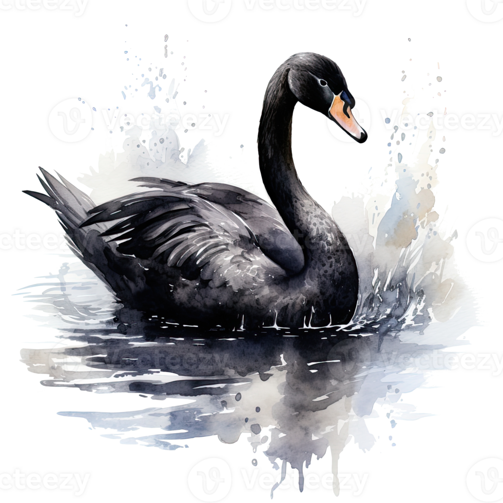 Black swan watercolor. Illustration AI Generative png