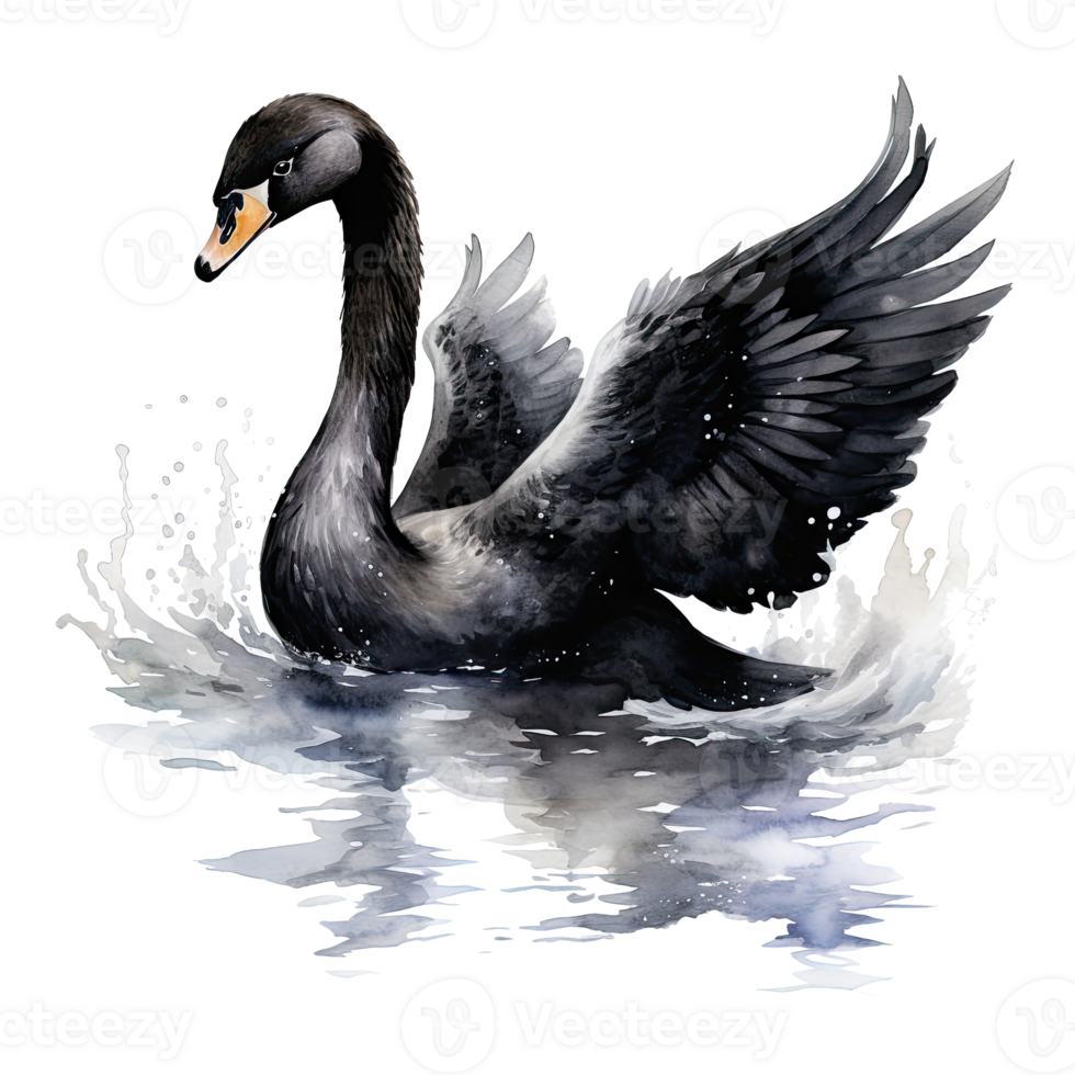 Black swan watercolor. Illustration AI Generative png