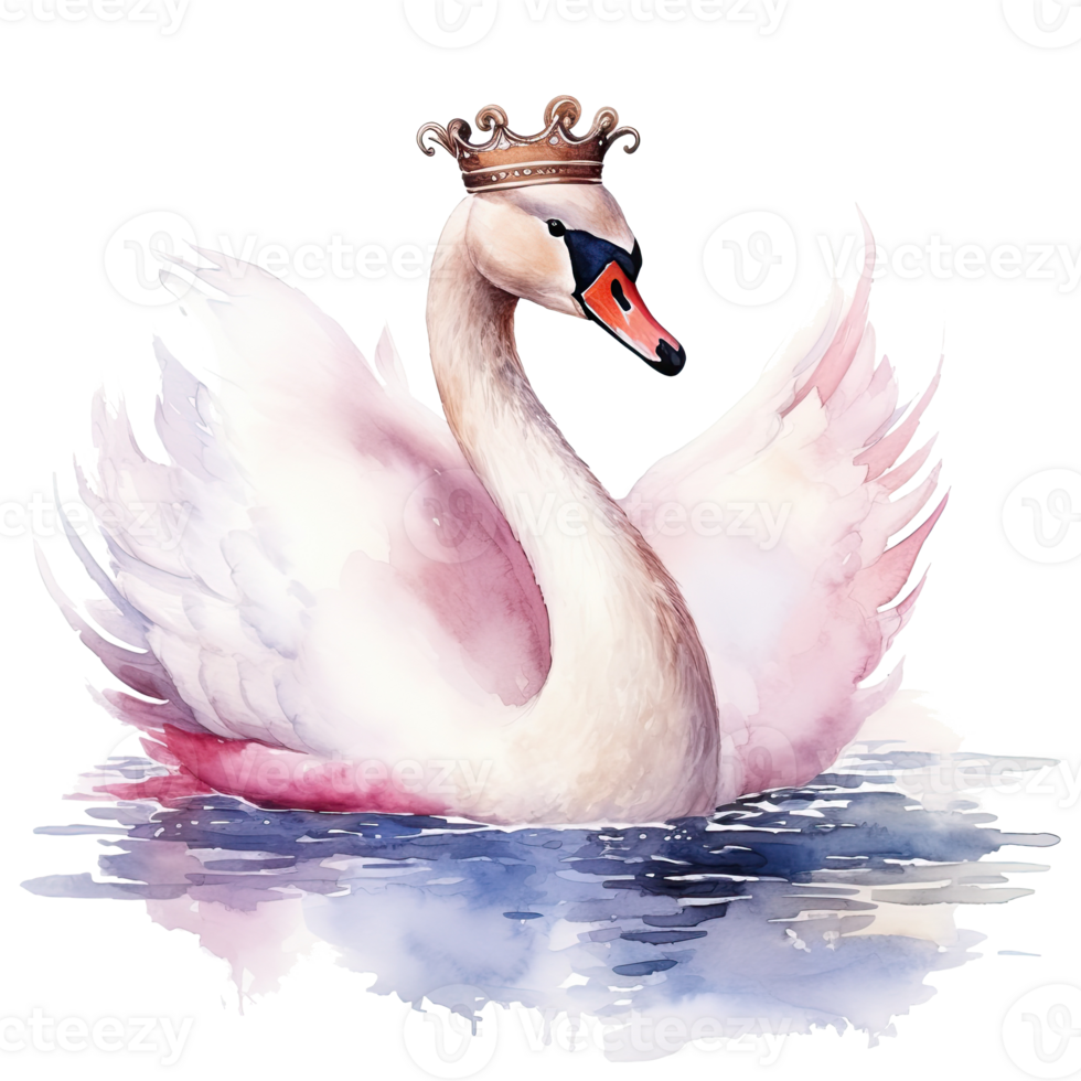 Watercolor swan with crown. Illustration png