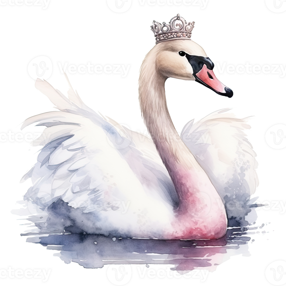 Watercolor swan with crown. Illustration png