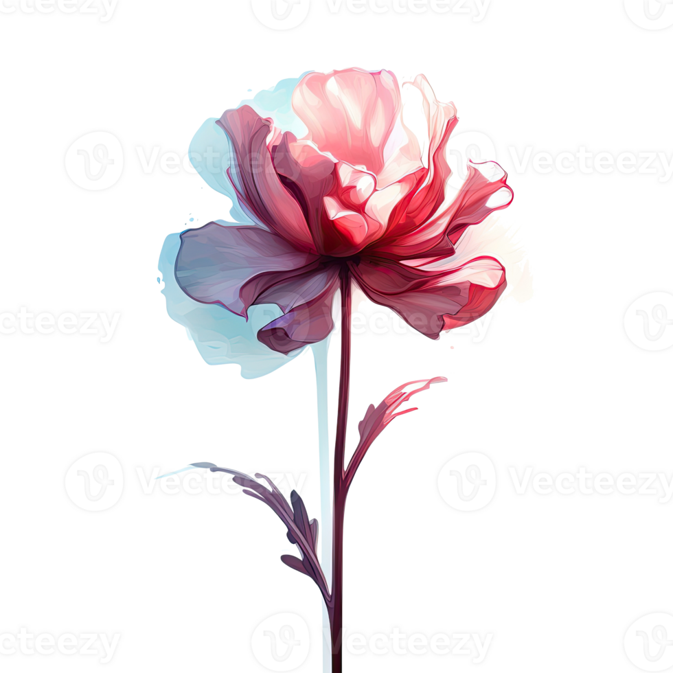 Watercolor flower. Illustration png