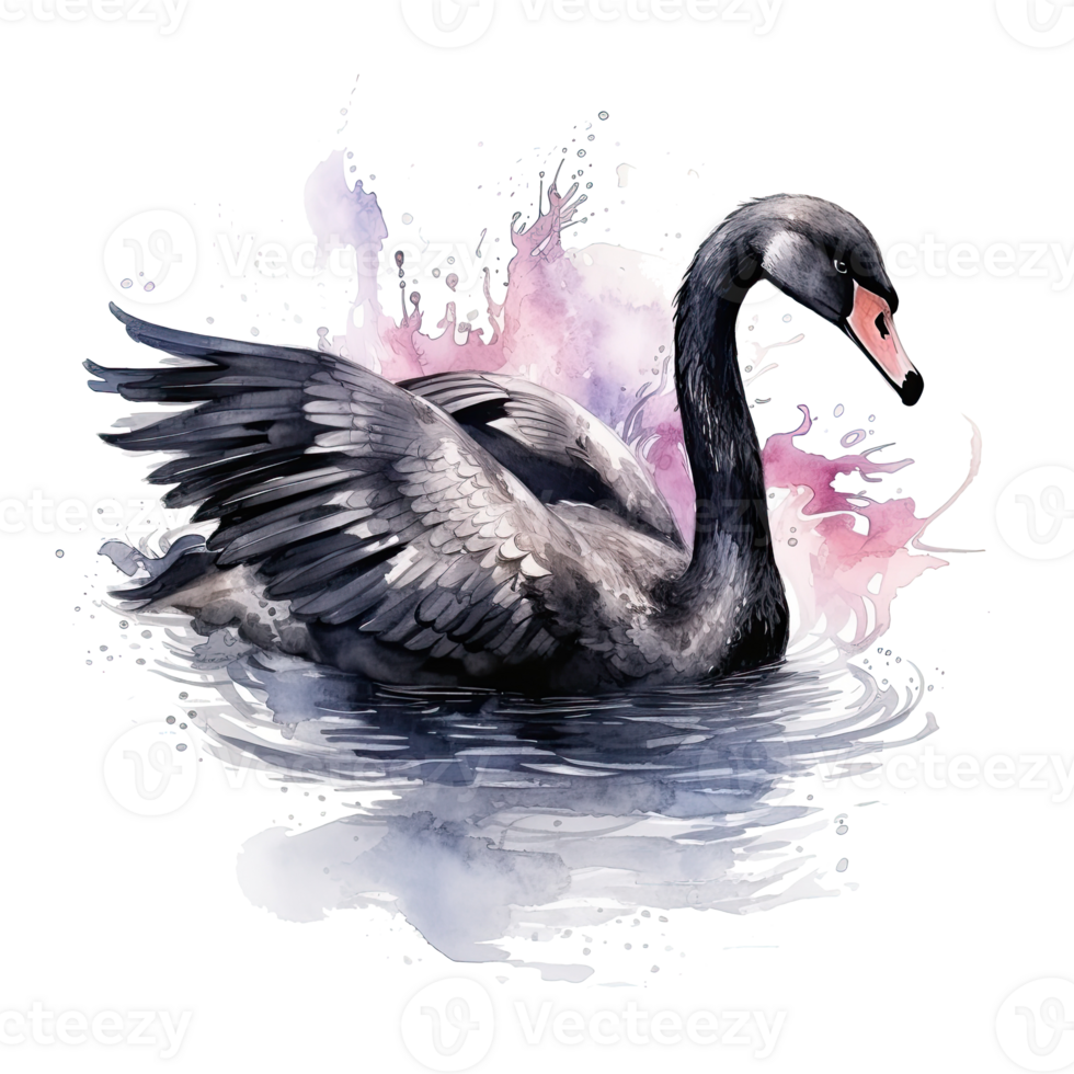 Black swan watercolor. Illustration AI Generative png