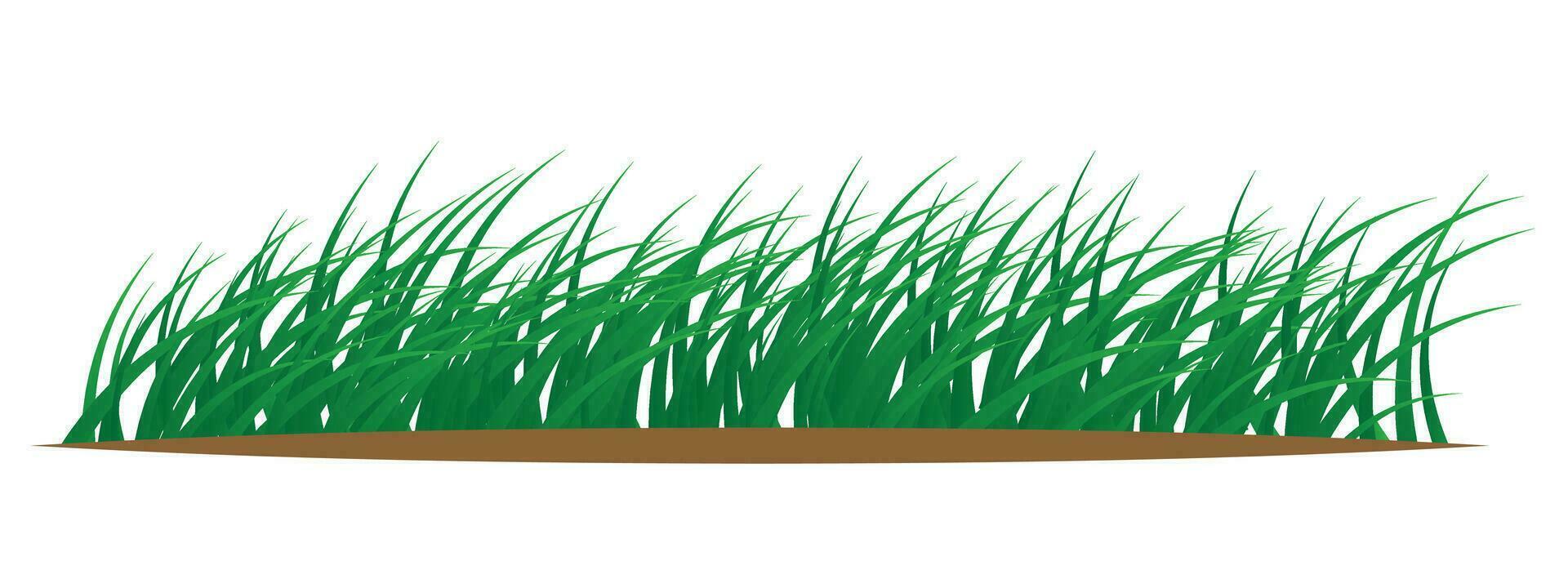 Grass decoration element isolated on White Background vector