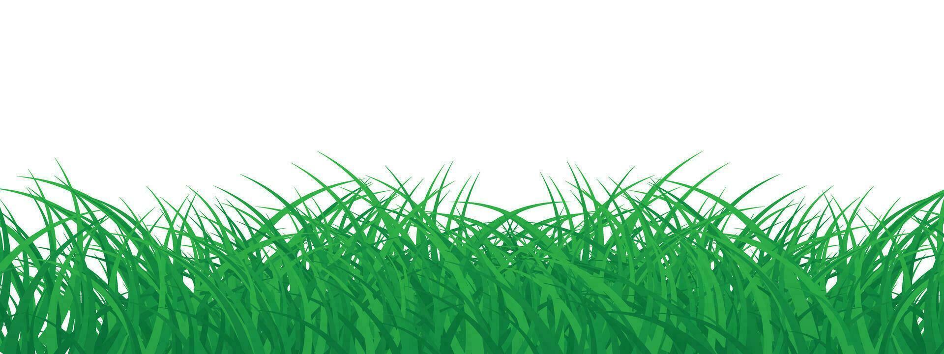 Grass decoration element isolated on White Background vector