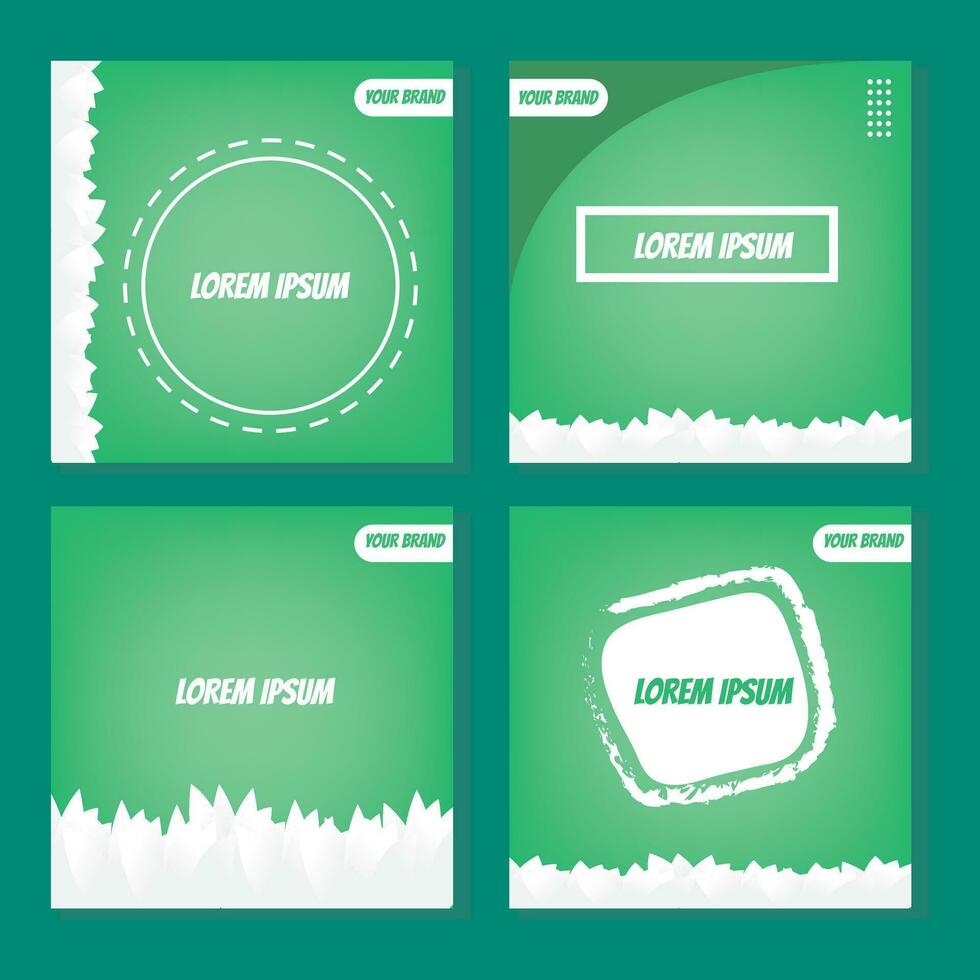 set of social media template. feed template for social media on green color background vector