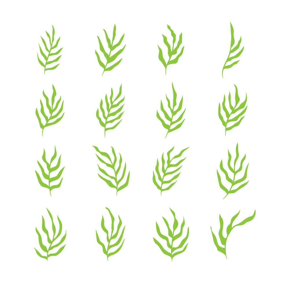 Green organic leaves icon set isolated vector illustration.