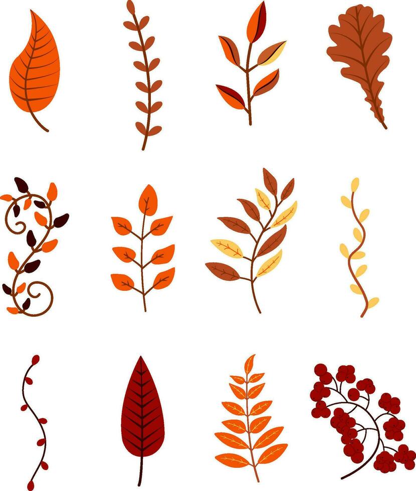 otoño hojas y ramas de diferente arboles vistoso ilustración vector