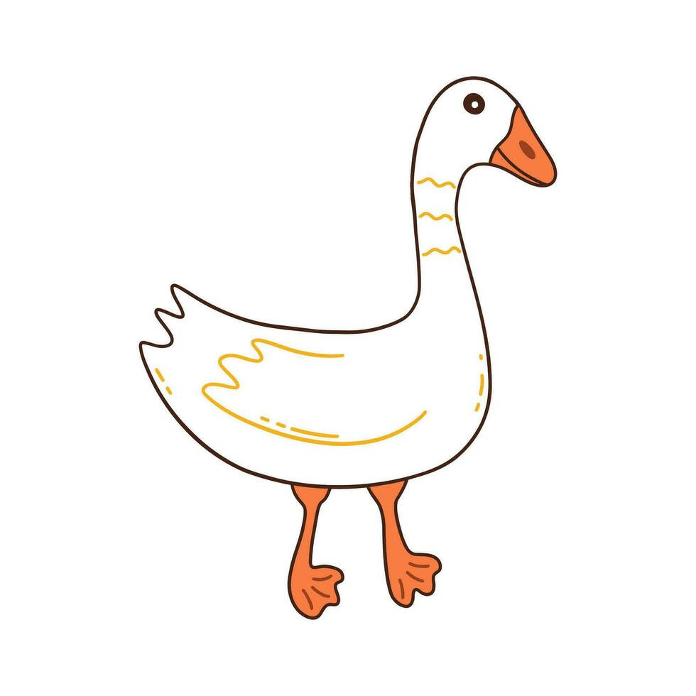 White goose walks. Vector hand drawn bird
