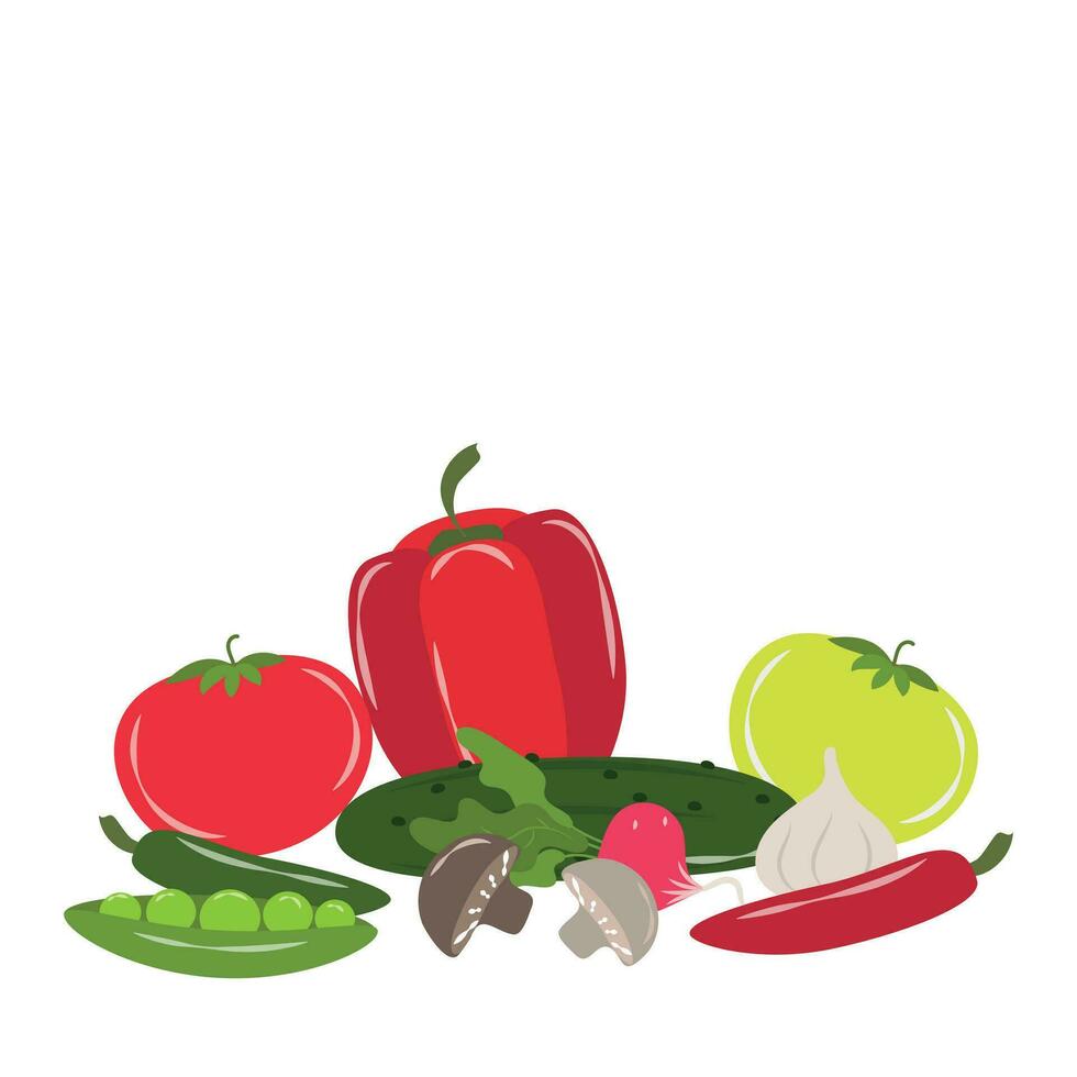 Illustration with fresh farm vegetables vector