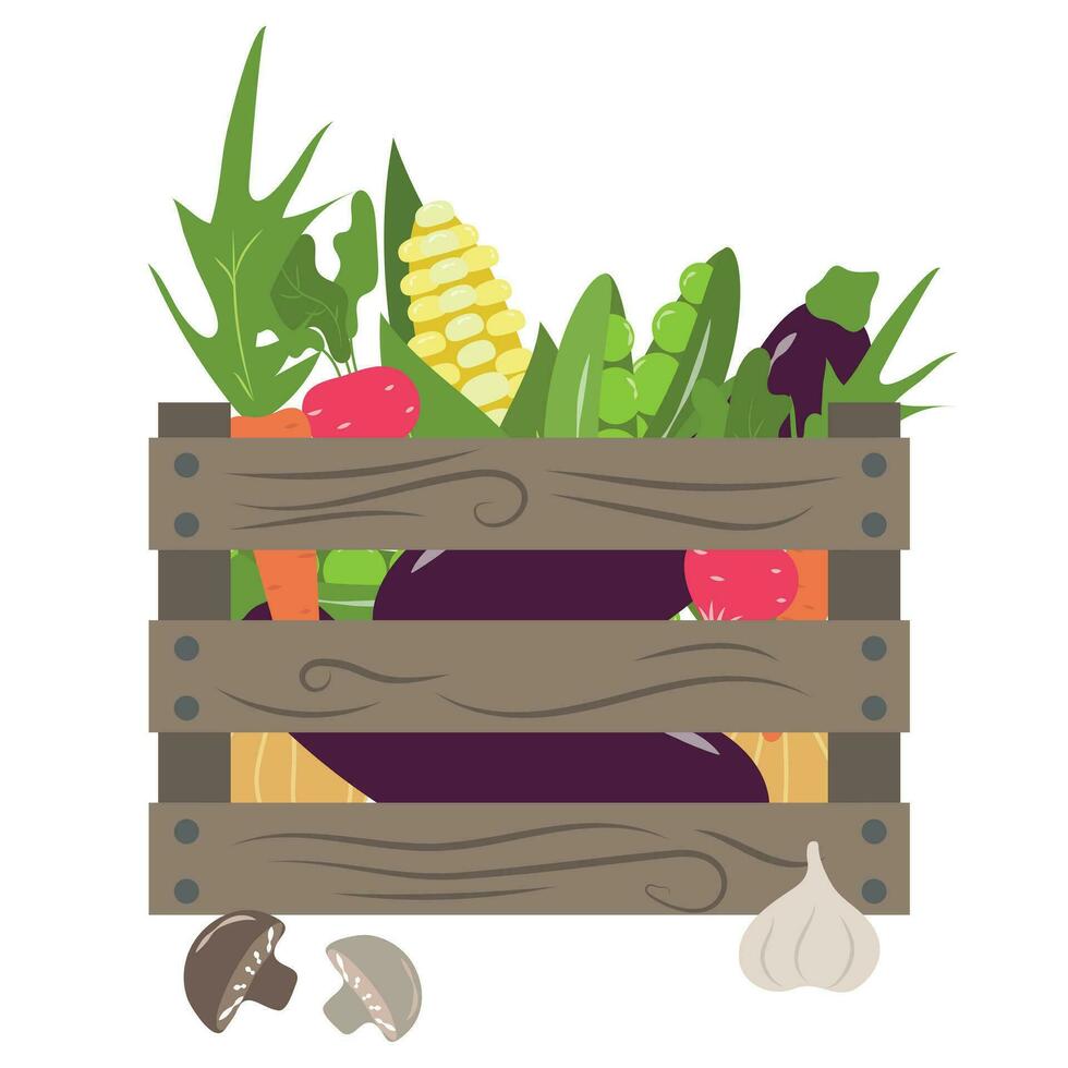 Illustration with fresh farm vegetables vector