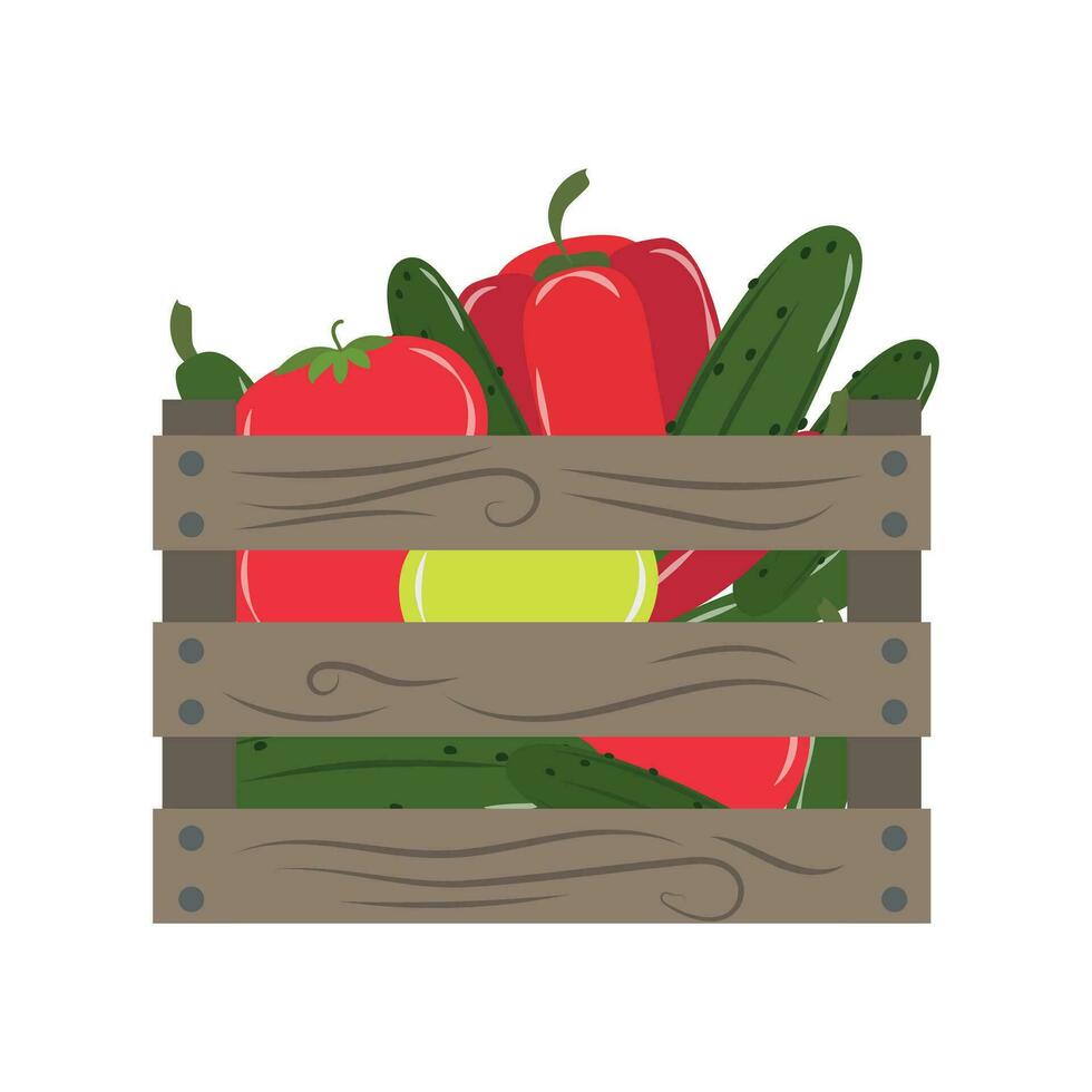 Illustration with fresh farm vegetables vector