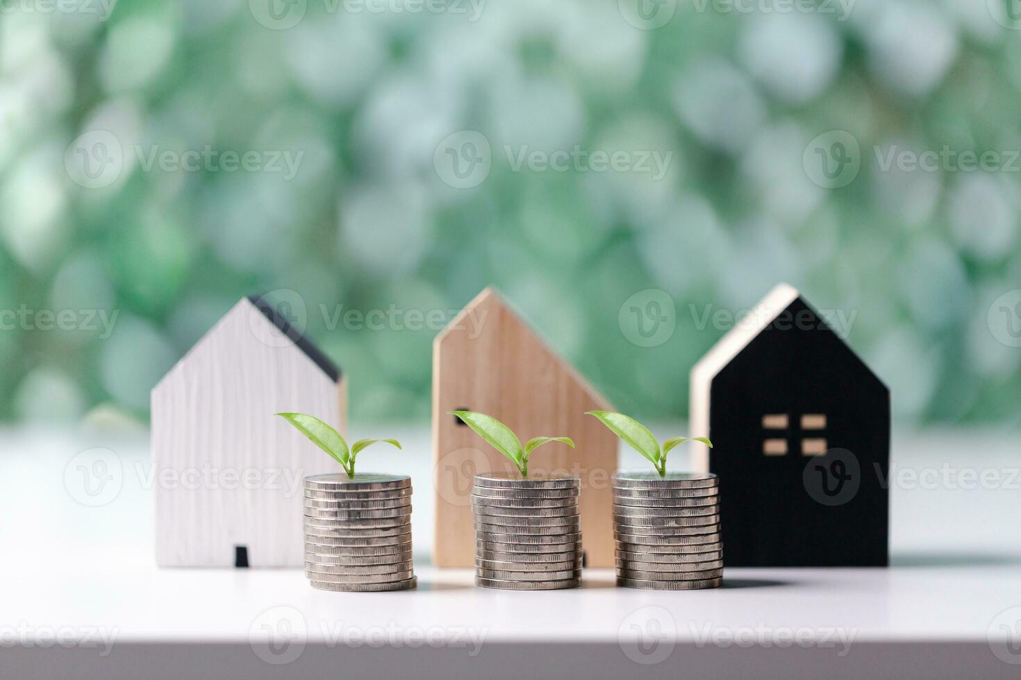 Stack coin with plant growing on and home model for family put on top in office, Business investment loan for real estate or save money for buy new house in future concept. Planning to buy property. photo