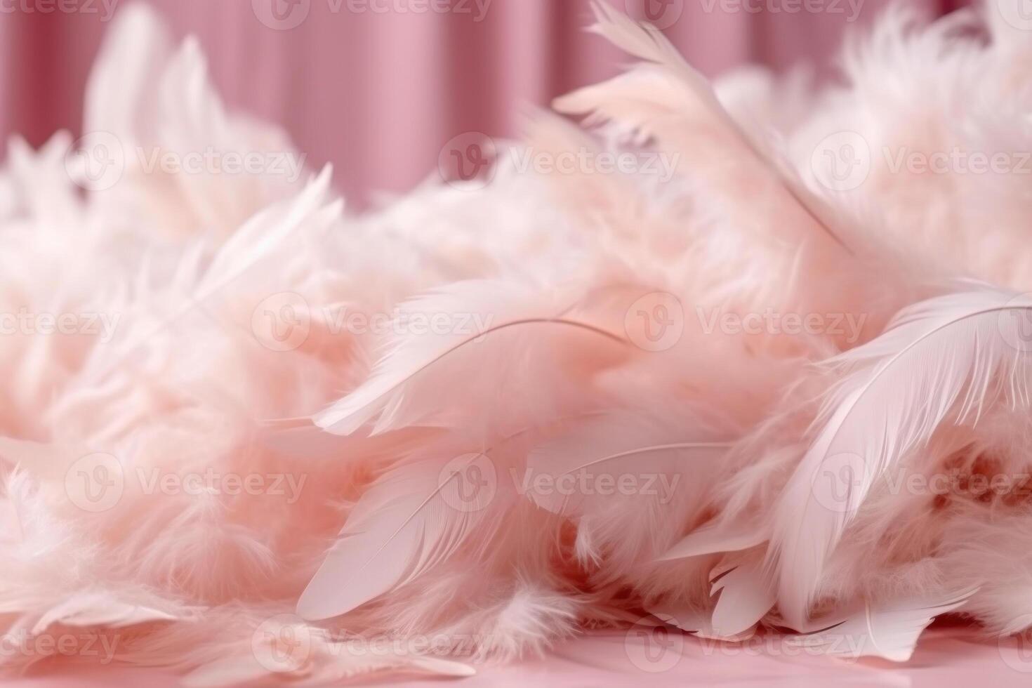 pink delicate feathers photo