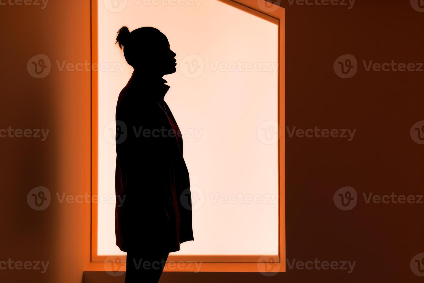 black silhouette of a woman photo