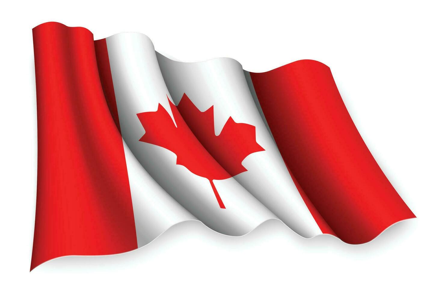 Realistic waving flag vector