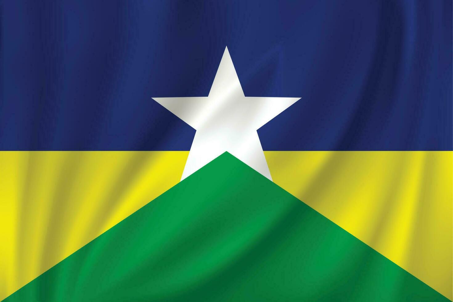 Flag waving in the wind vector