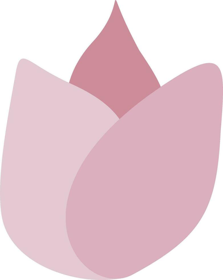 ilustración tulipán decoración vector