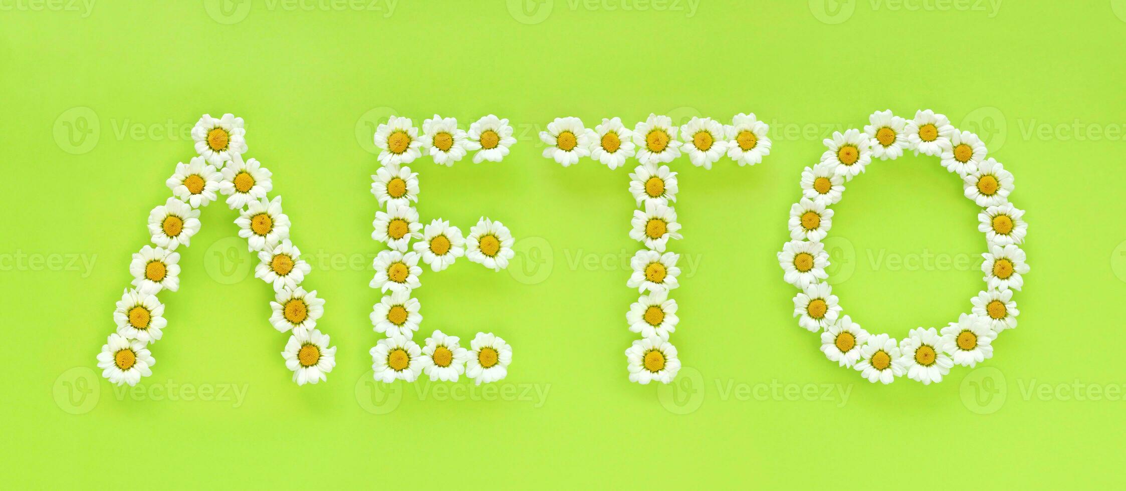 Word Summer in the Russian language, cyrillic letters made of chamomiles on bright light green background. Small white chrysanthemums look like daisies. Hello summer concept photo