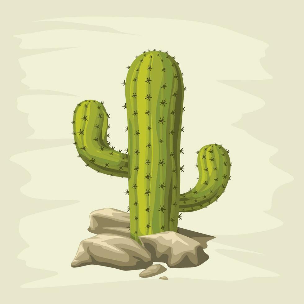 cactus with rocks on white background vector