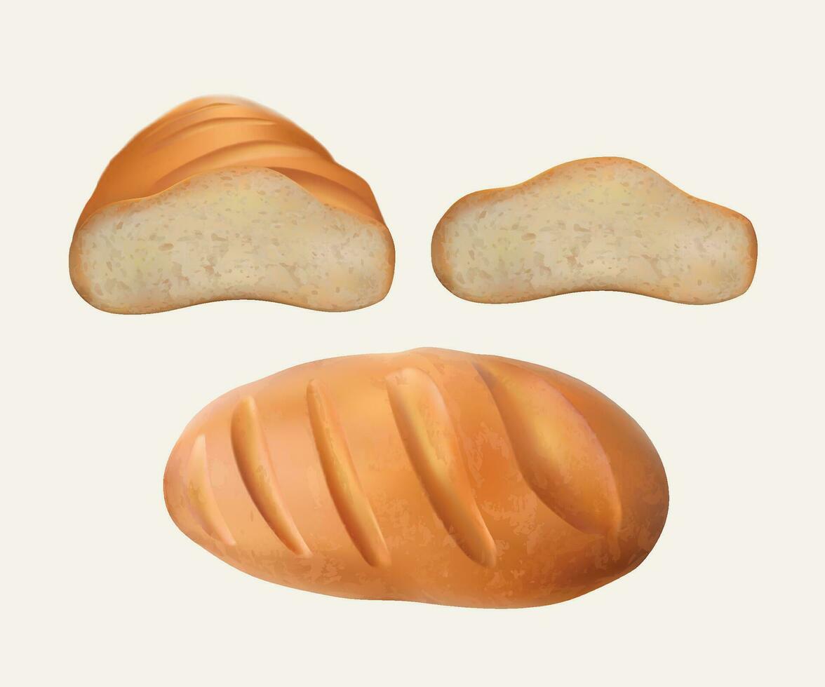 fresh bread set on white background vector