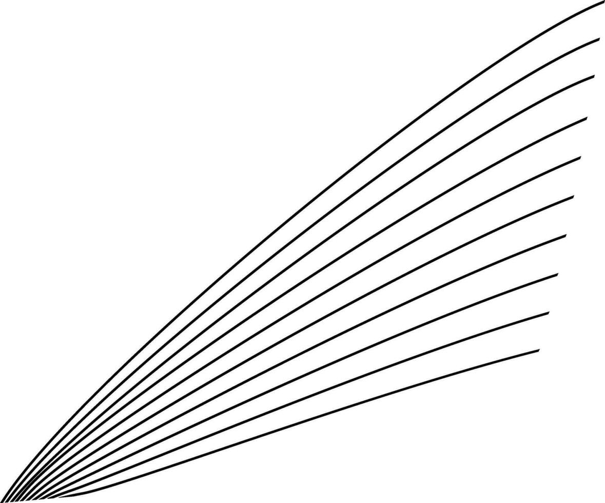simple line decoration vector