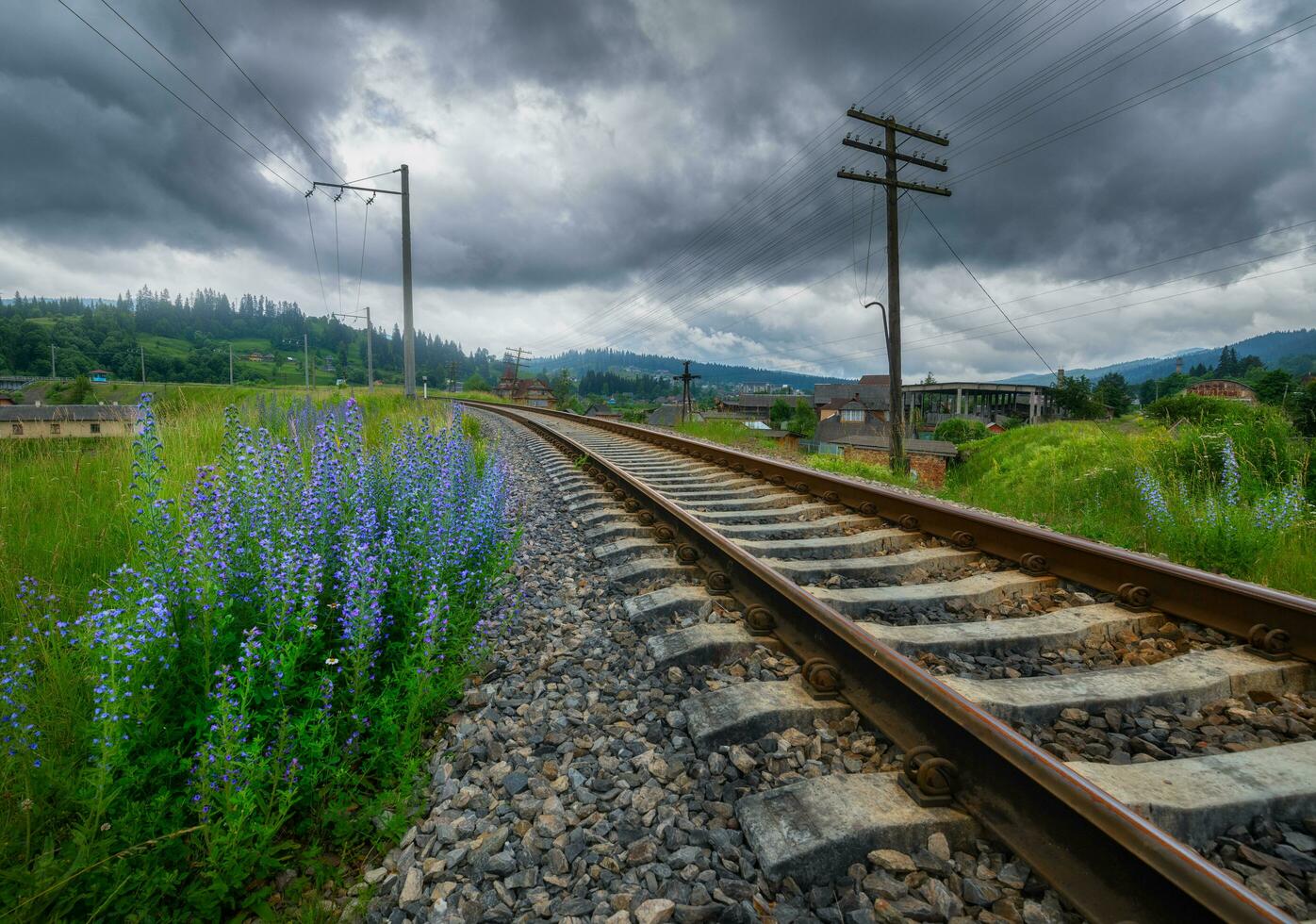 rural ferrocarril en montañas y azul flores en nublado día foto