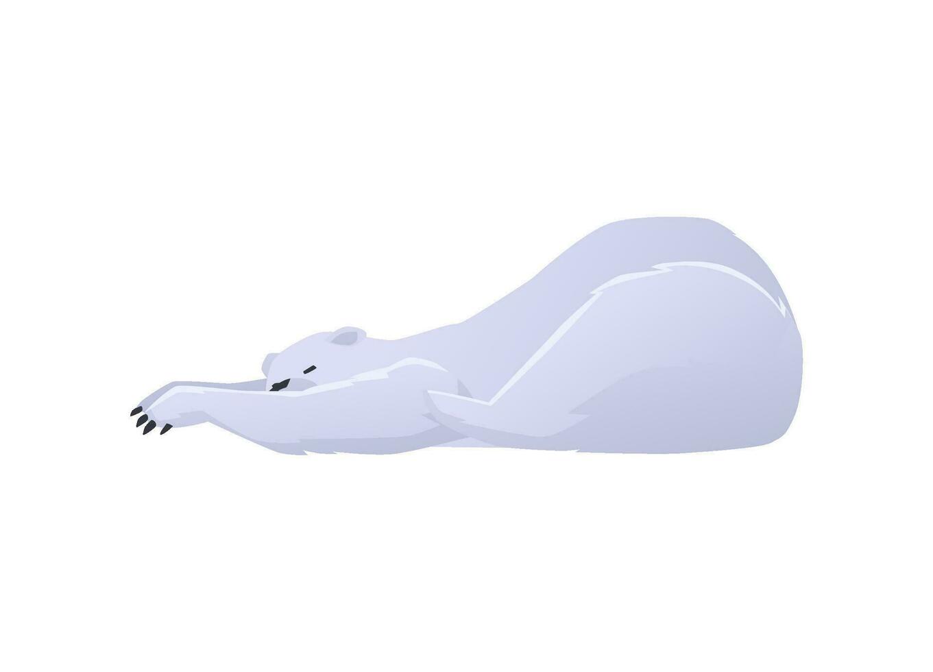 Lazy polar bear lying stretching out front legs flat style vector