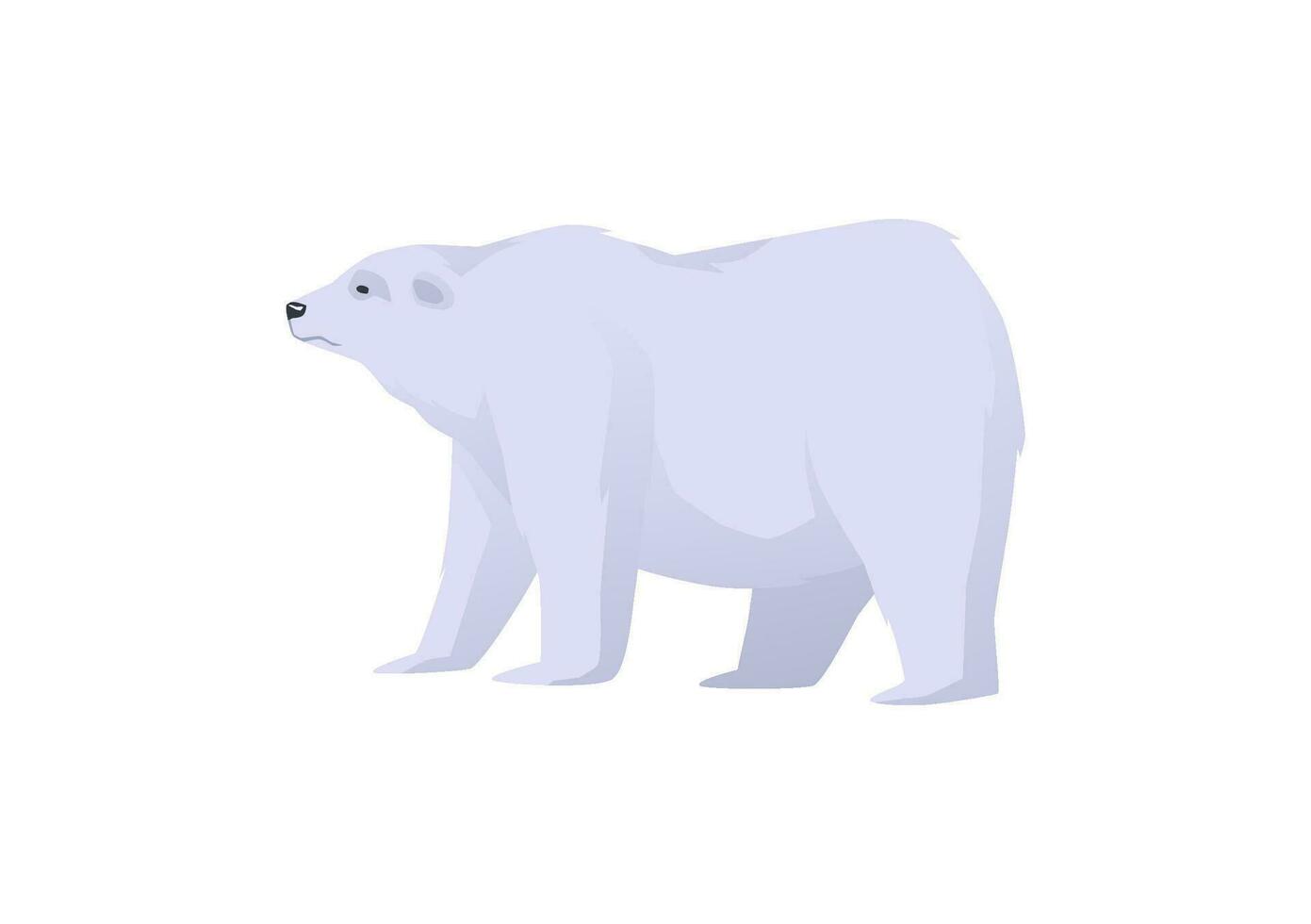 Polar arctic bear in full length, flat vector illustration isolated on white.