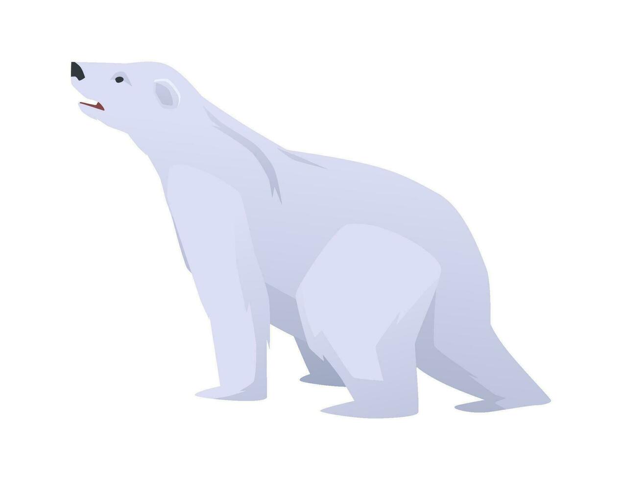 Polar white bear Arctic circle animal flat vector illustration isolated on white.