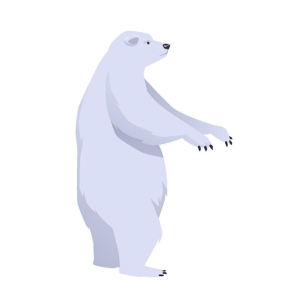 Polar bear stands on its hind legs, flat vector illustration isolated on white.