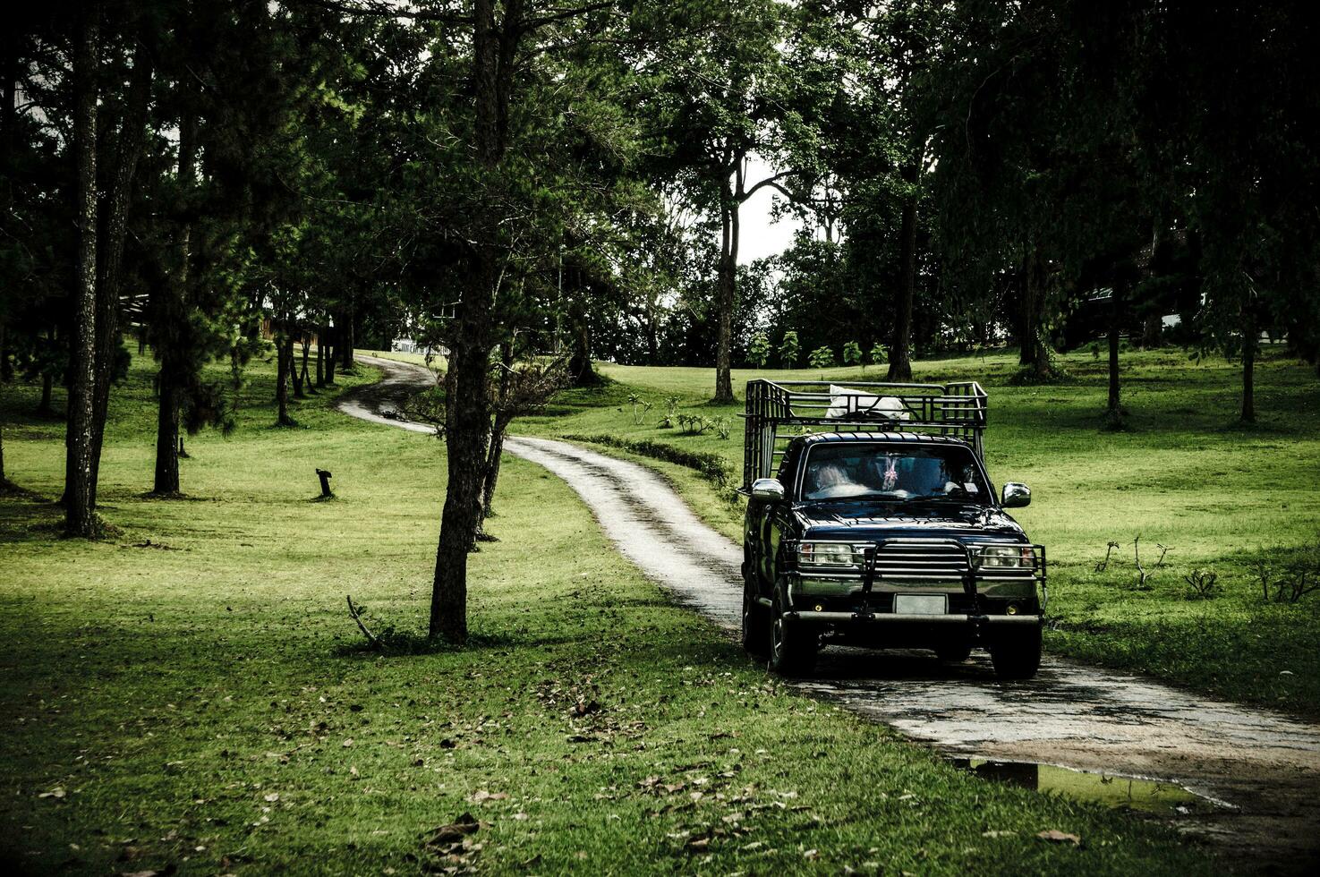 pickup truck dirt road photo