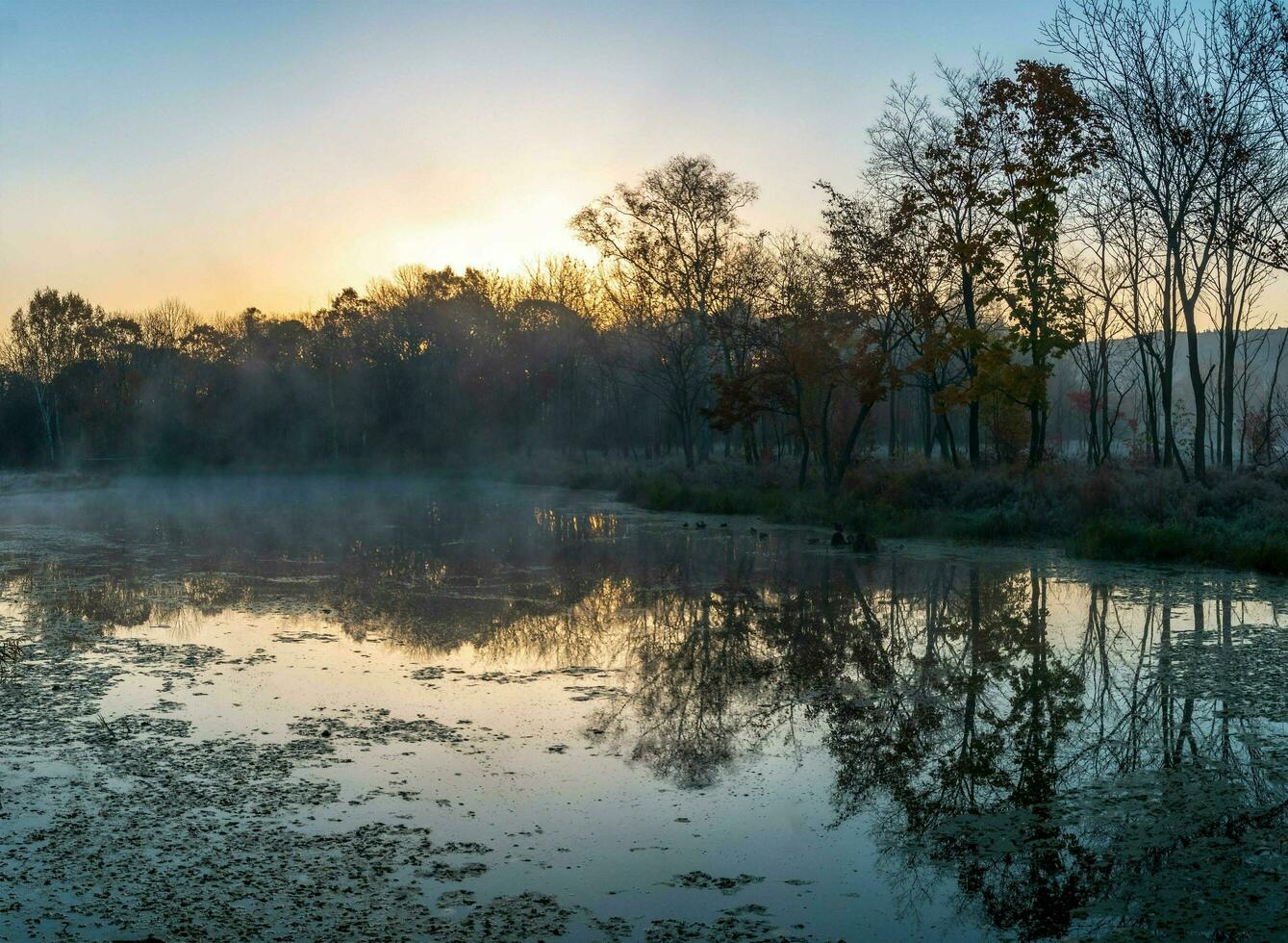 Autumn landscape of early foggy morning in the far east of Russi photo