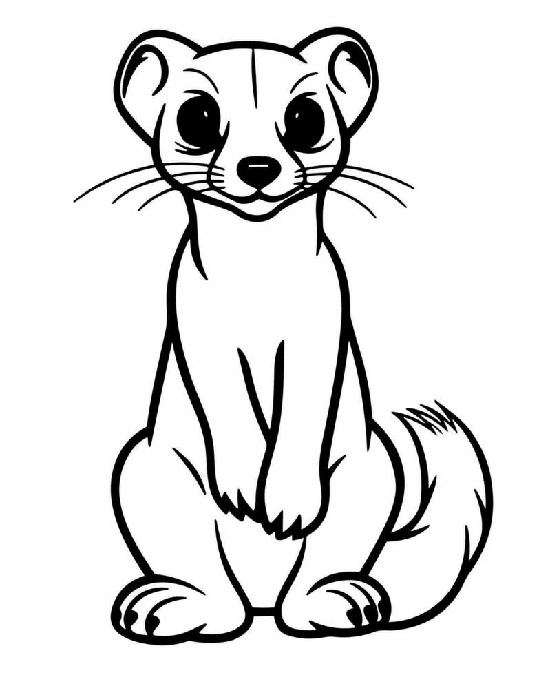 animal ferret coloring vector