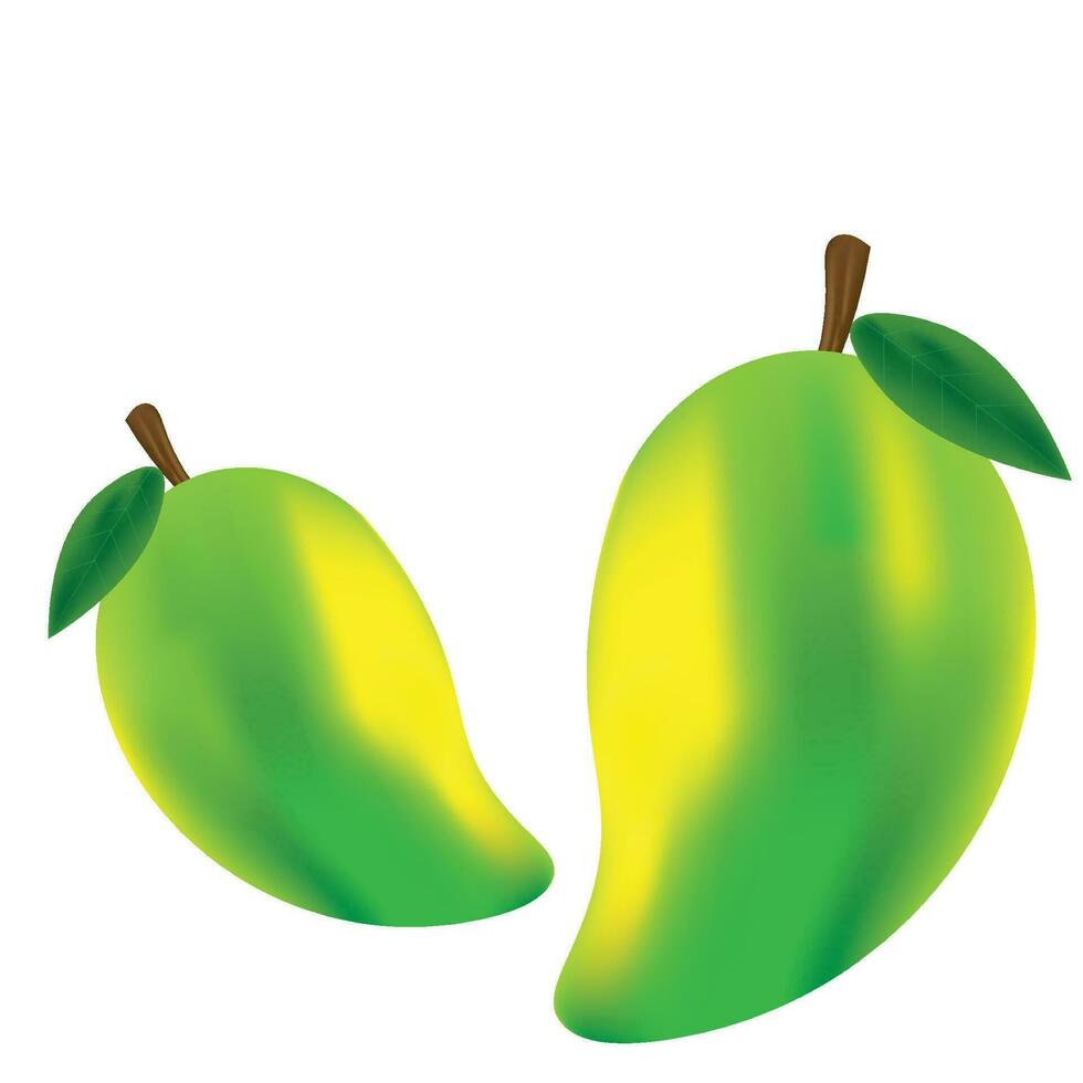 realistic mango vector Free Vector