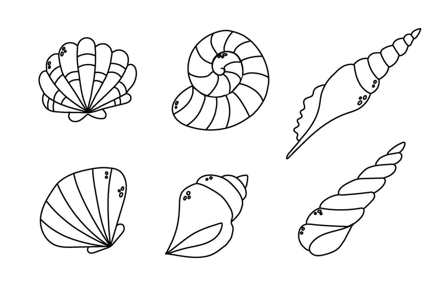 set of seashell flat vector cartoon illustration.