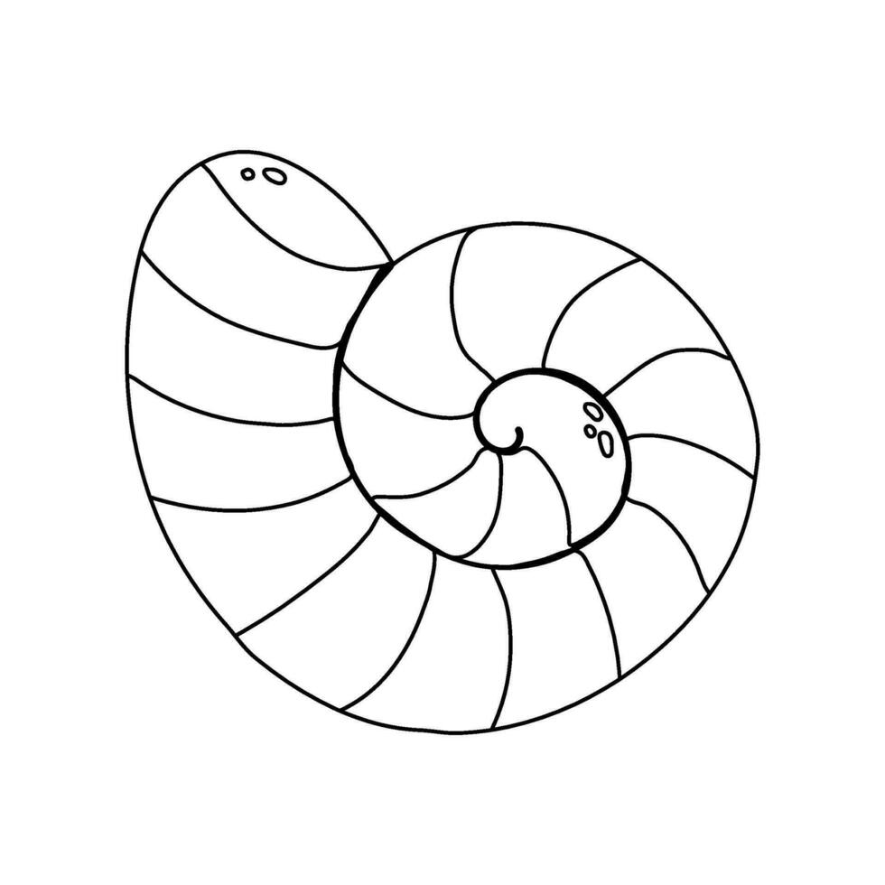 seashell flat vector cartoon illustration on white background