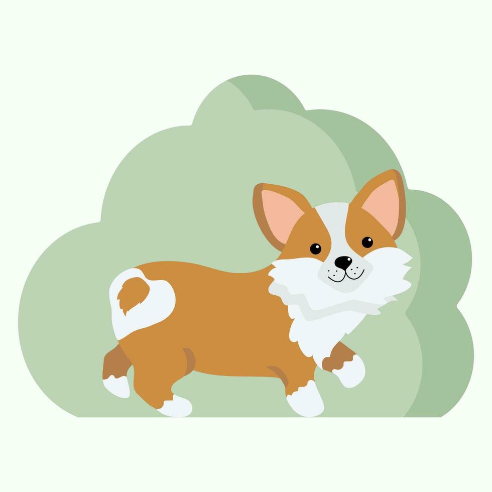 Corgi dog. Cartoon funny puppy on a walk. Vector illustration on isolated background.