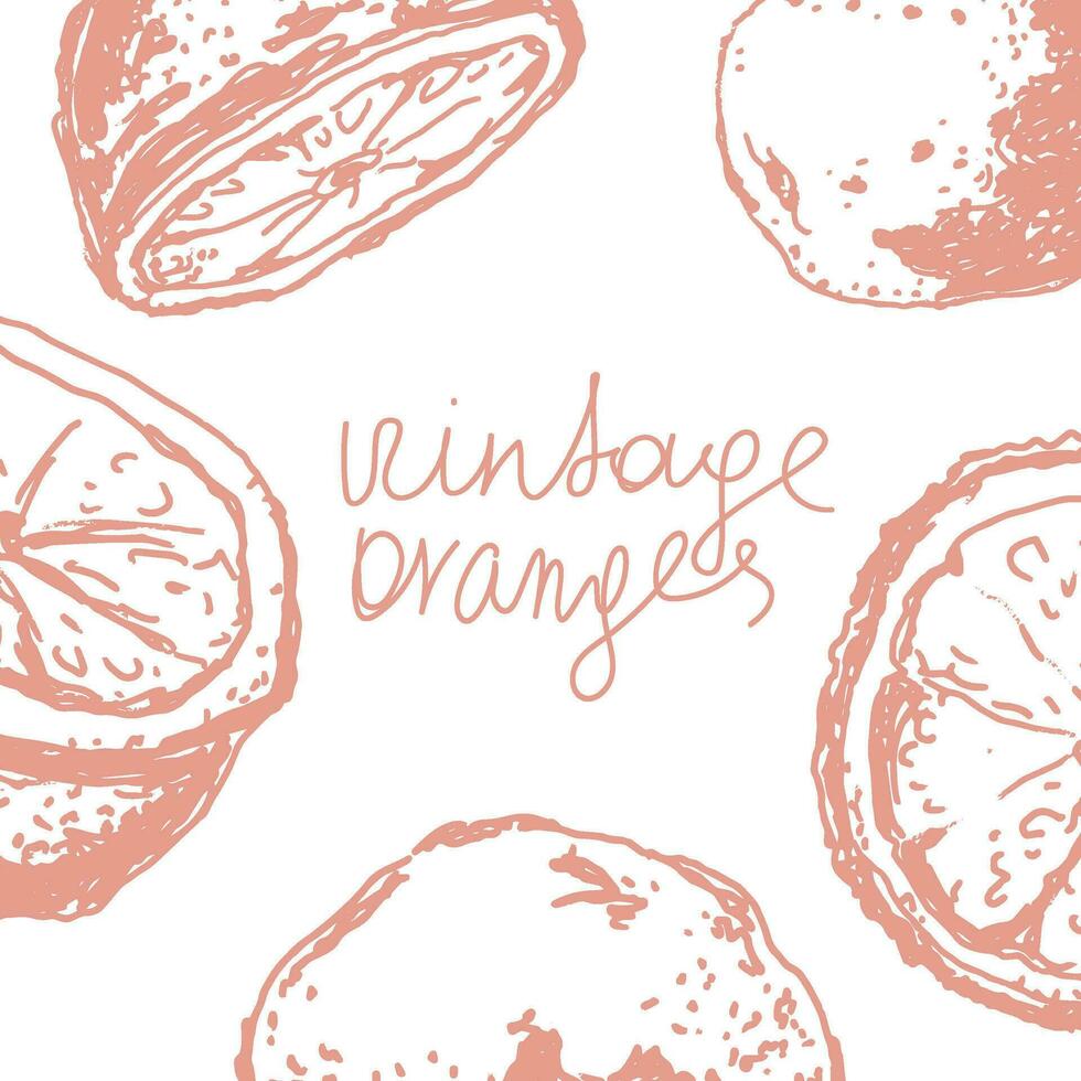 Orange in sketch style, banner background. vector