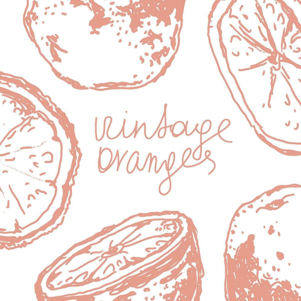 Orange in sketch style, banner background. vector