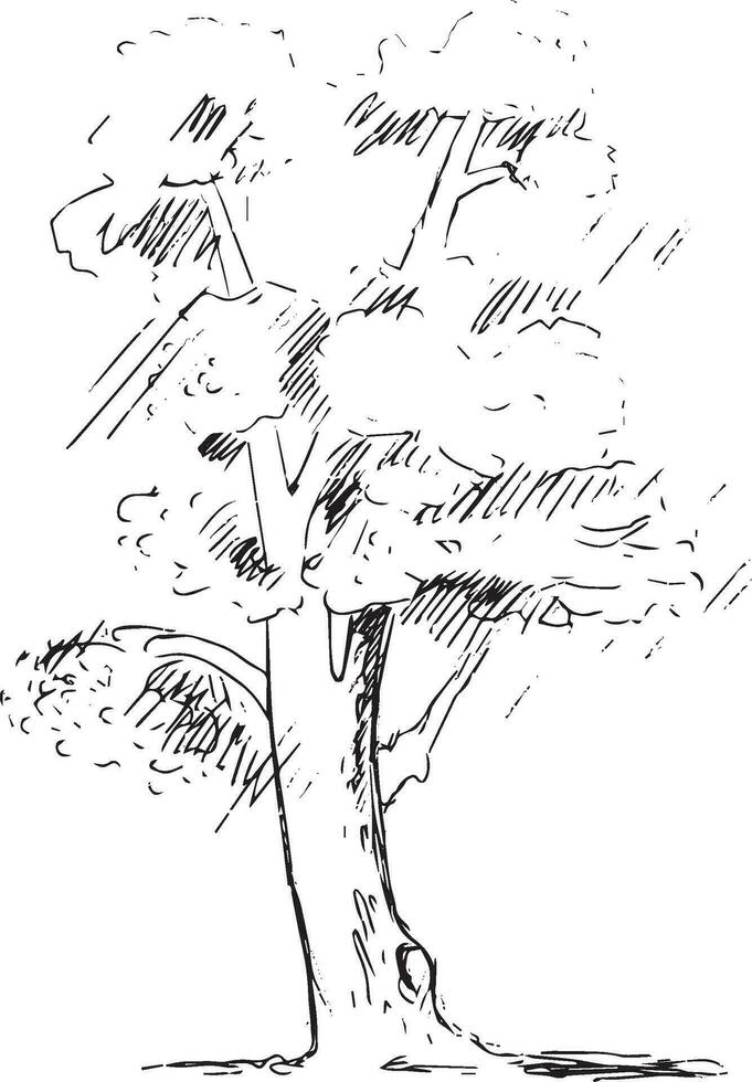 Tree in doodle style on light background. vector