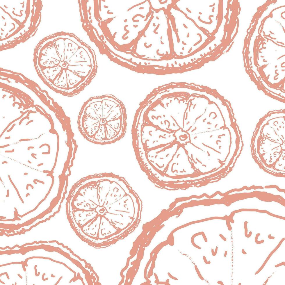 Orange in sketch style, banner background. vector