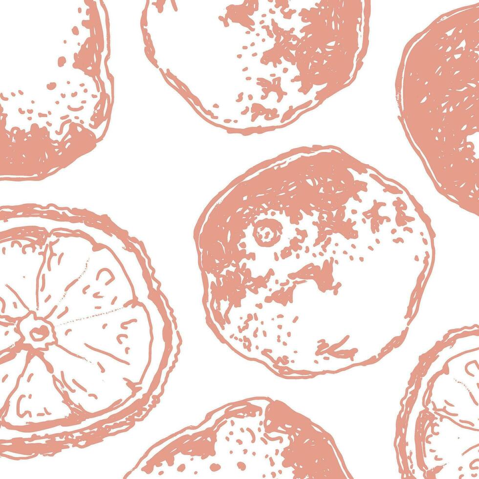 Orange in sketch style, banner background. vector