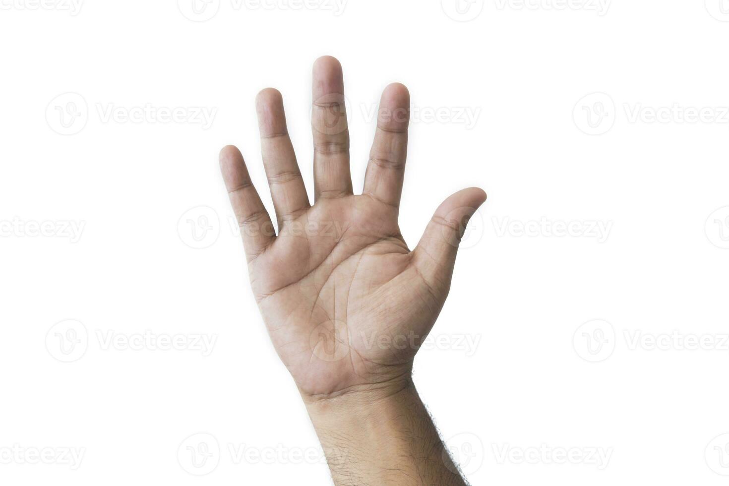 Close-up man's hand goodwill gesture. Open outstretched hand, showing five fingers, extended in greeting copy space isolated on white background. Space for text. photo