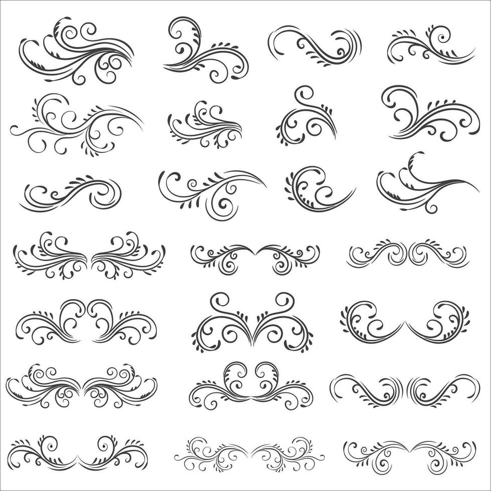 Vector illustration graphic elements for design, Swirl elements decorative illustration