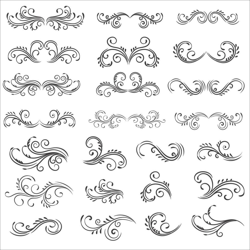 Vector illustration graphic elements for design, Swirl elements decorative illustration